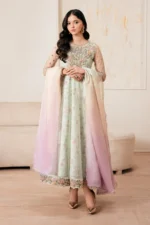 Baroque Pret (3pc) Net | EMBROIDERED NET PR-1050 - Festive Collection