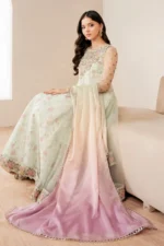 Baroque Pret (3pc) Net | EMBROIDERED NET PR-1050 - Festive Collection - Image 2