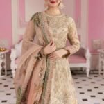 Afrozeh Stiched (3pc) Organza | ECC-02-MONARCH - Formal Collection