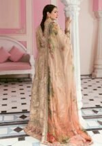 Afrozeh Stiched (3pc) Organza | ECC-02-MONARCH - Formal Collection - Image 5