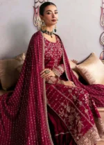 Afrozeh Stiched (3pc) Korean Raw Silk | TSG-07 Merlot - There She Glows - Formal Collection - Image 2