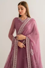 Farasha Pret (3pc) Chiffon | ELENA - Festive Collection - Image 4